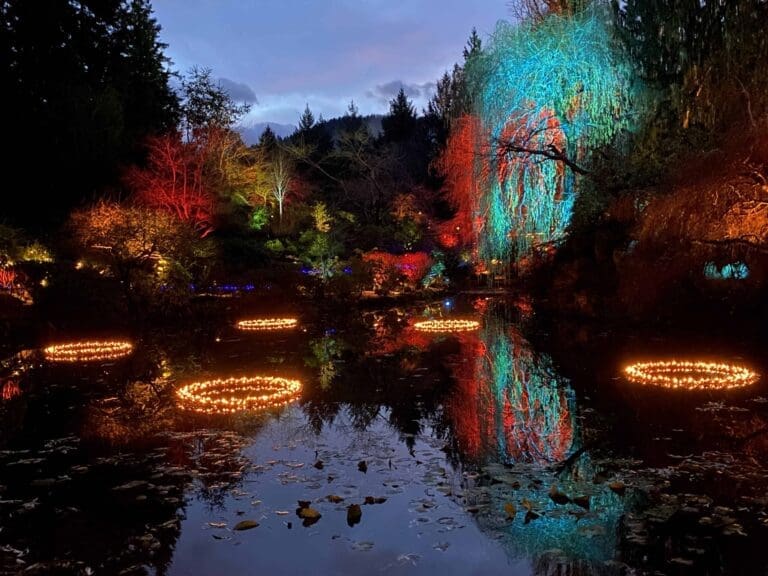 Best Things to Do-Winter in Victoria BC