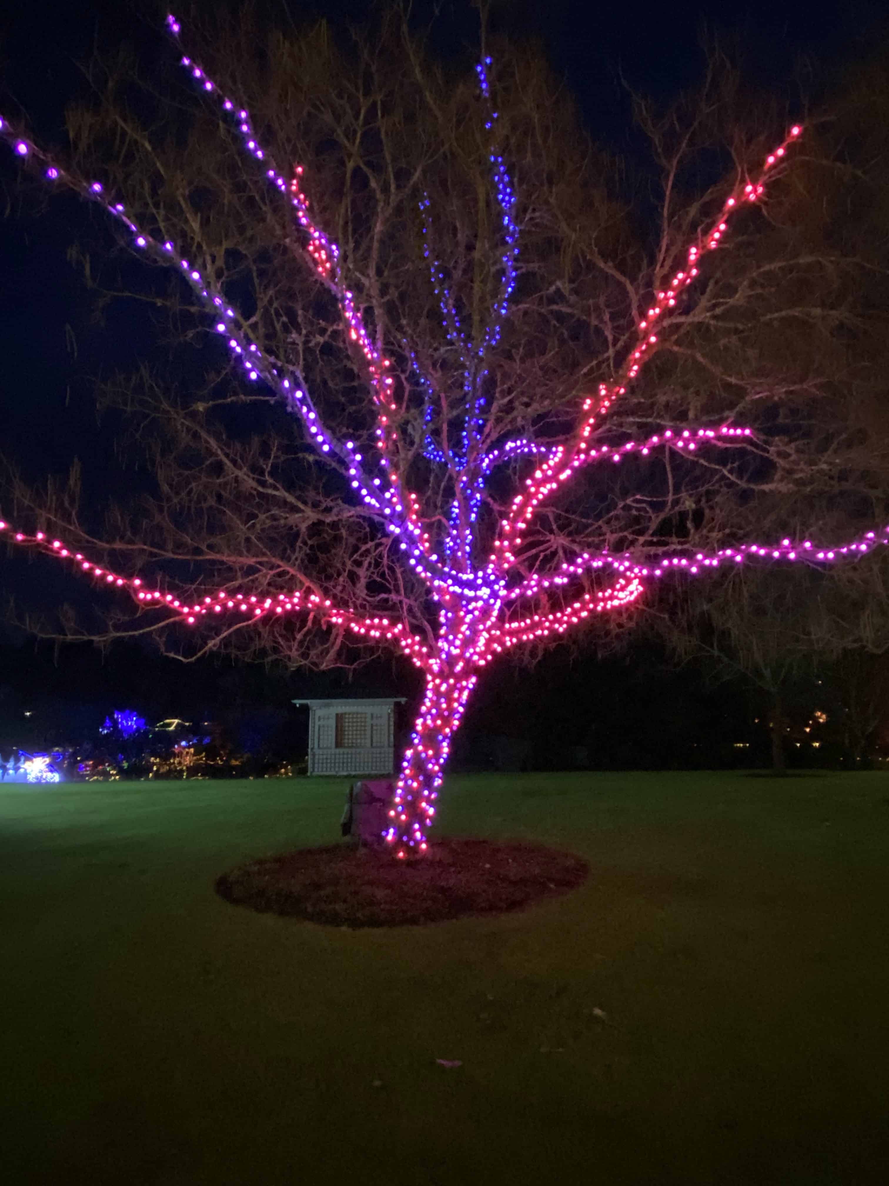 The lights on this tree come alive with noise, laughter, chatter and singing!  We had fun making it dance. :)