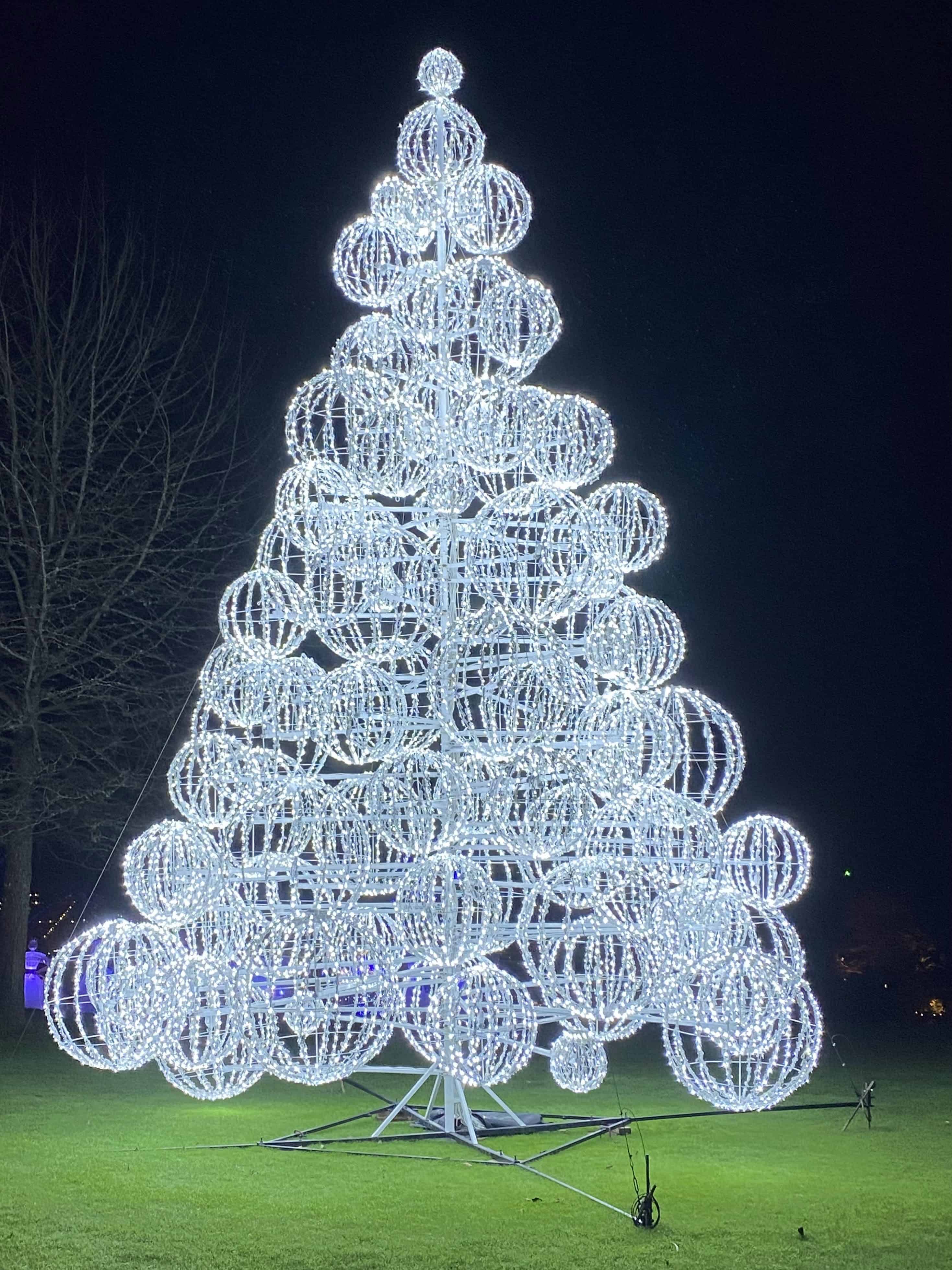 Yet another awesome light display. Note the green grass underneath the lights. Victoria BC is especially green in the winter, due to the additional rainfall.