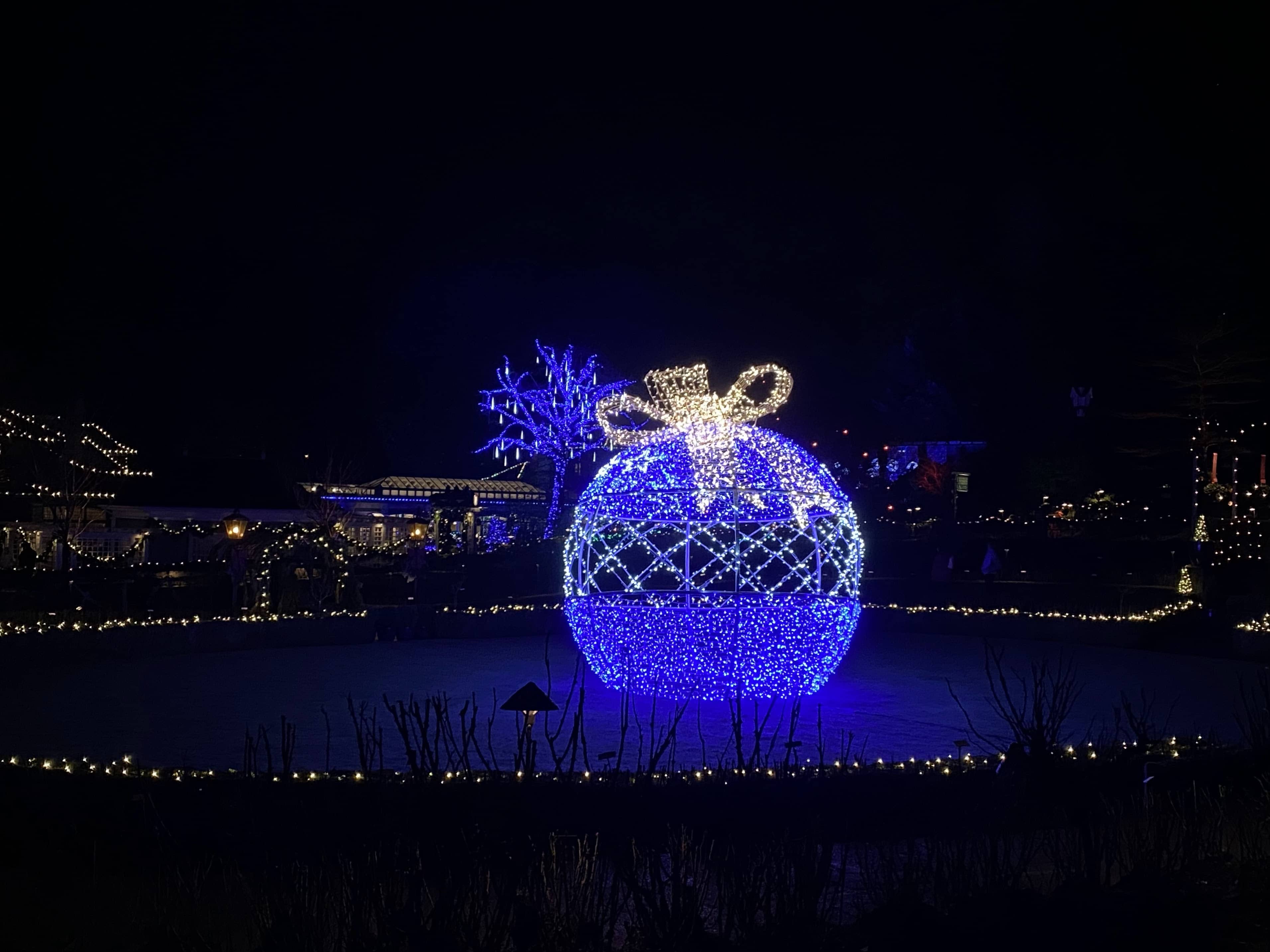 Another incredible light display (looks like a large Christmas decoration) at the Butchart Gardens.