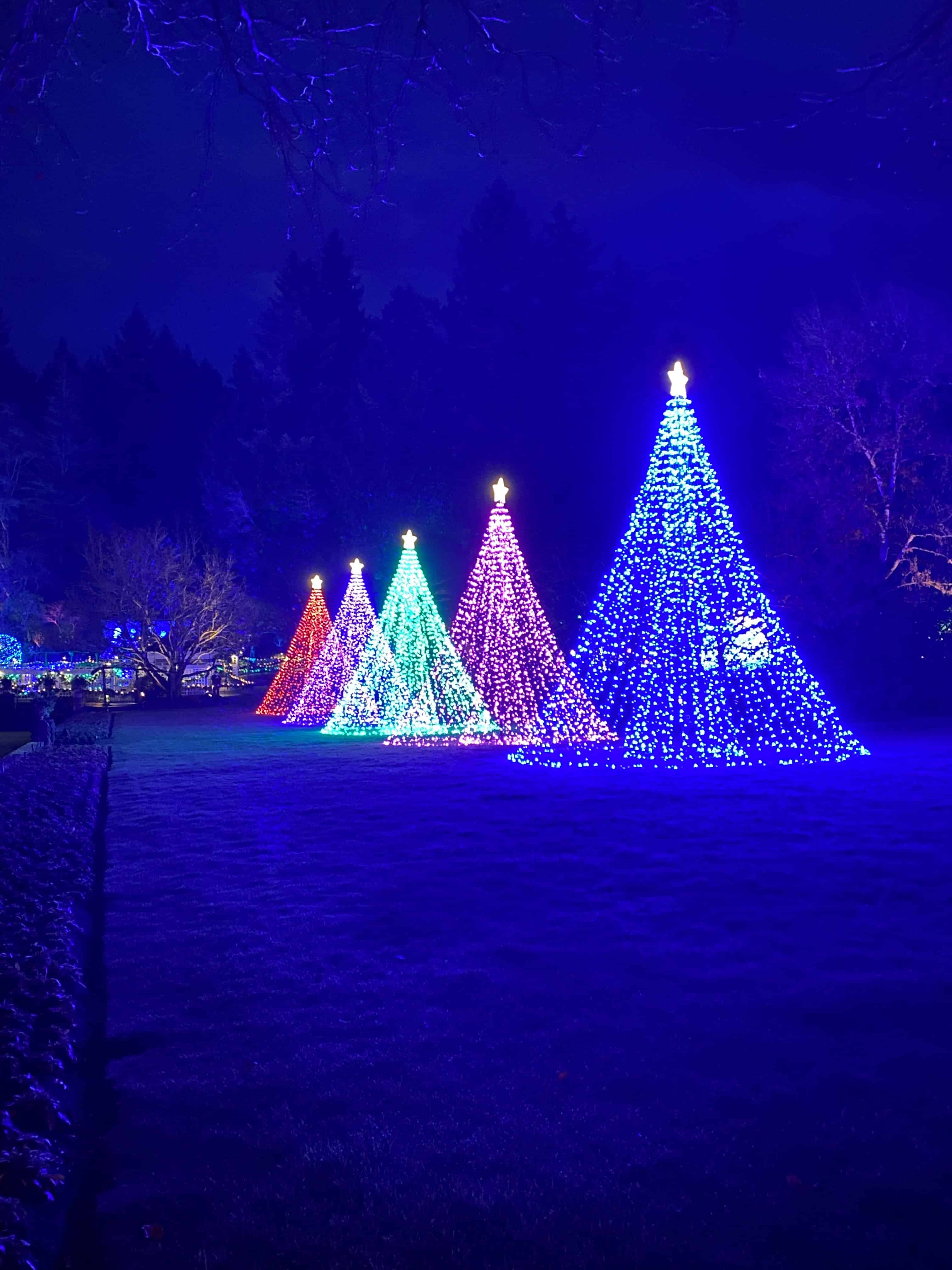 Lights drape the grounds, these in shapes of lovely decorated Christmas trees.