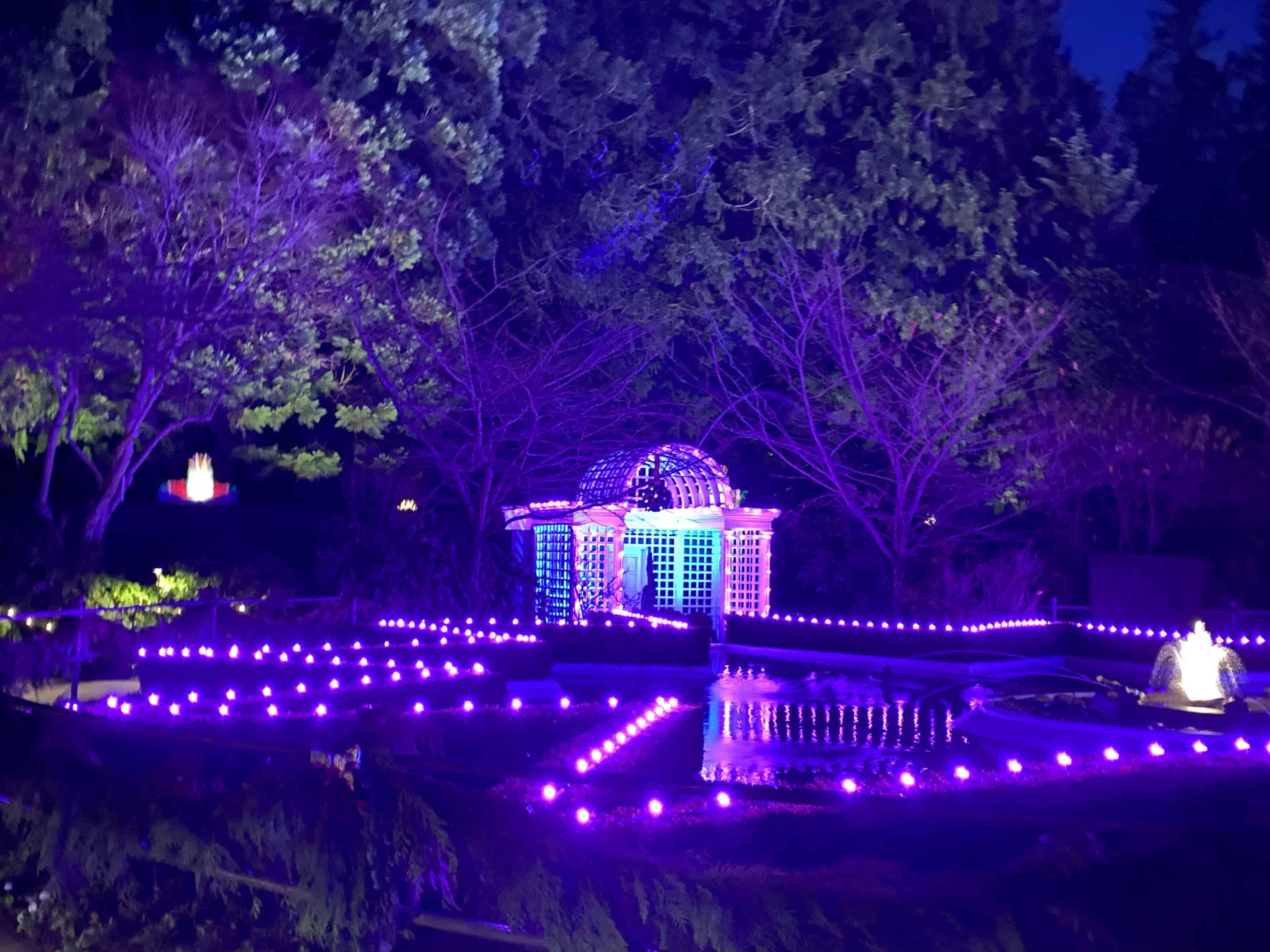 Usually the rose garden, also decorated for the season.
