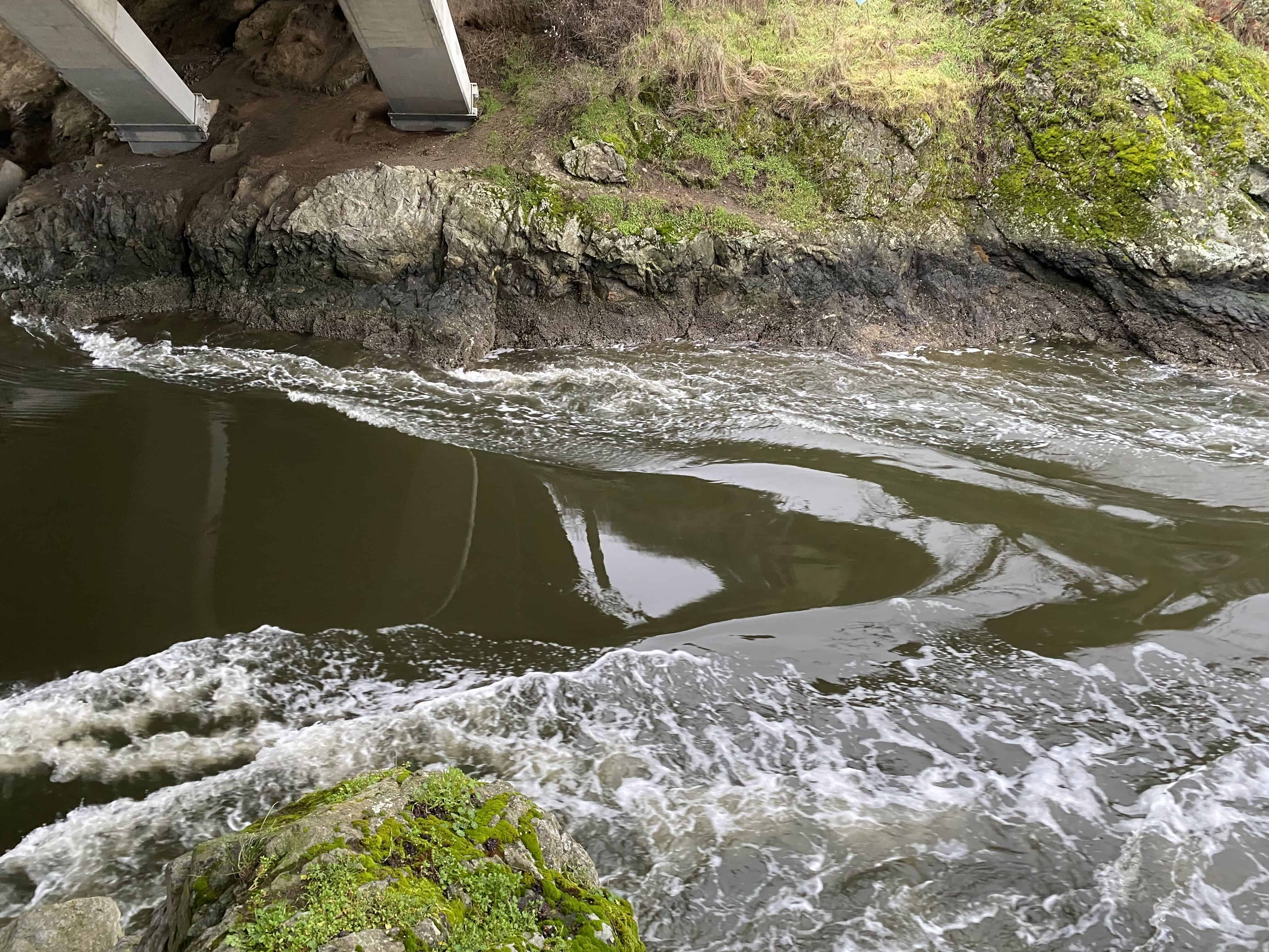 At Tillicum Narrows under the bridge