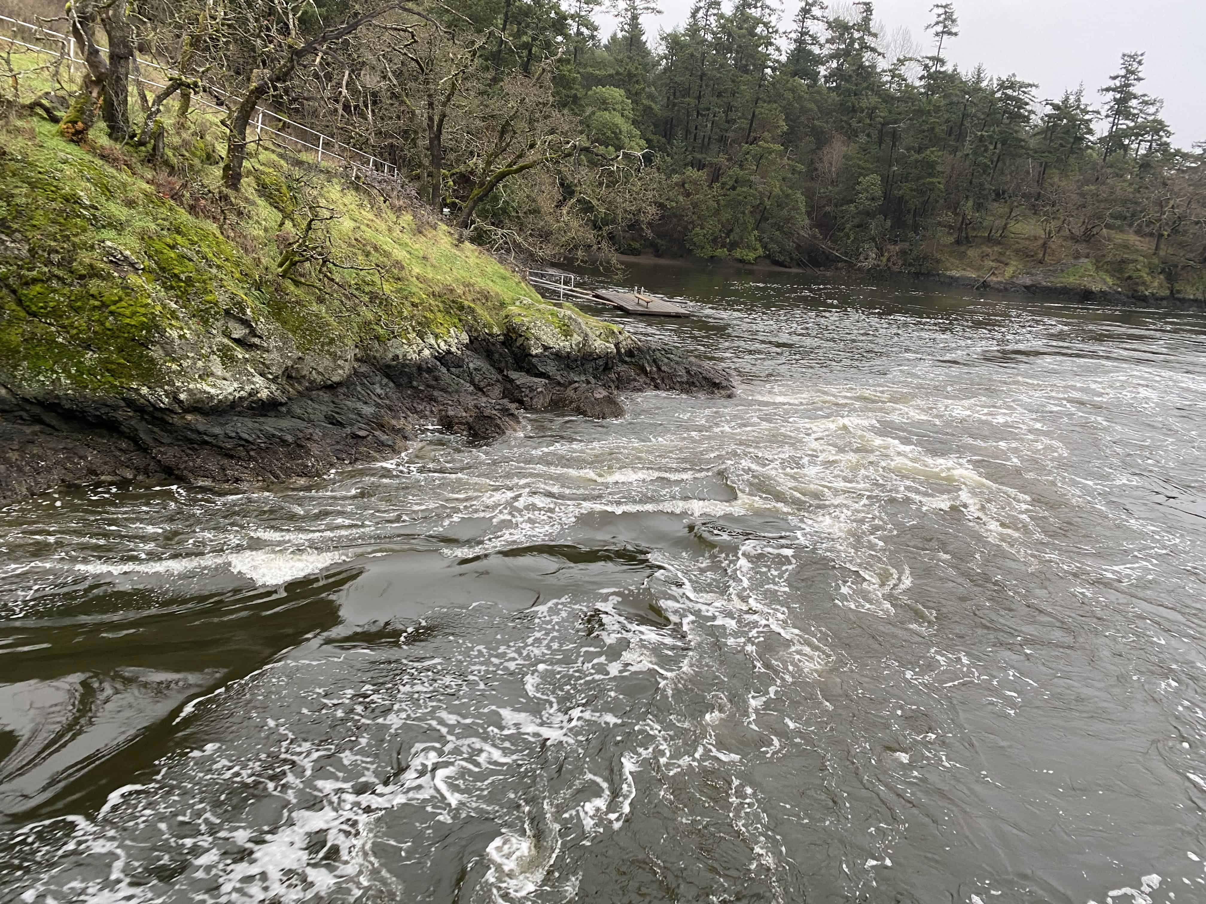 Photo taken 15 January @ 4:10 p.m. at Tillicum Narrows showing activity of reverse rapids - to be used with tide chart.