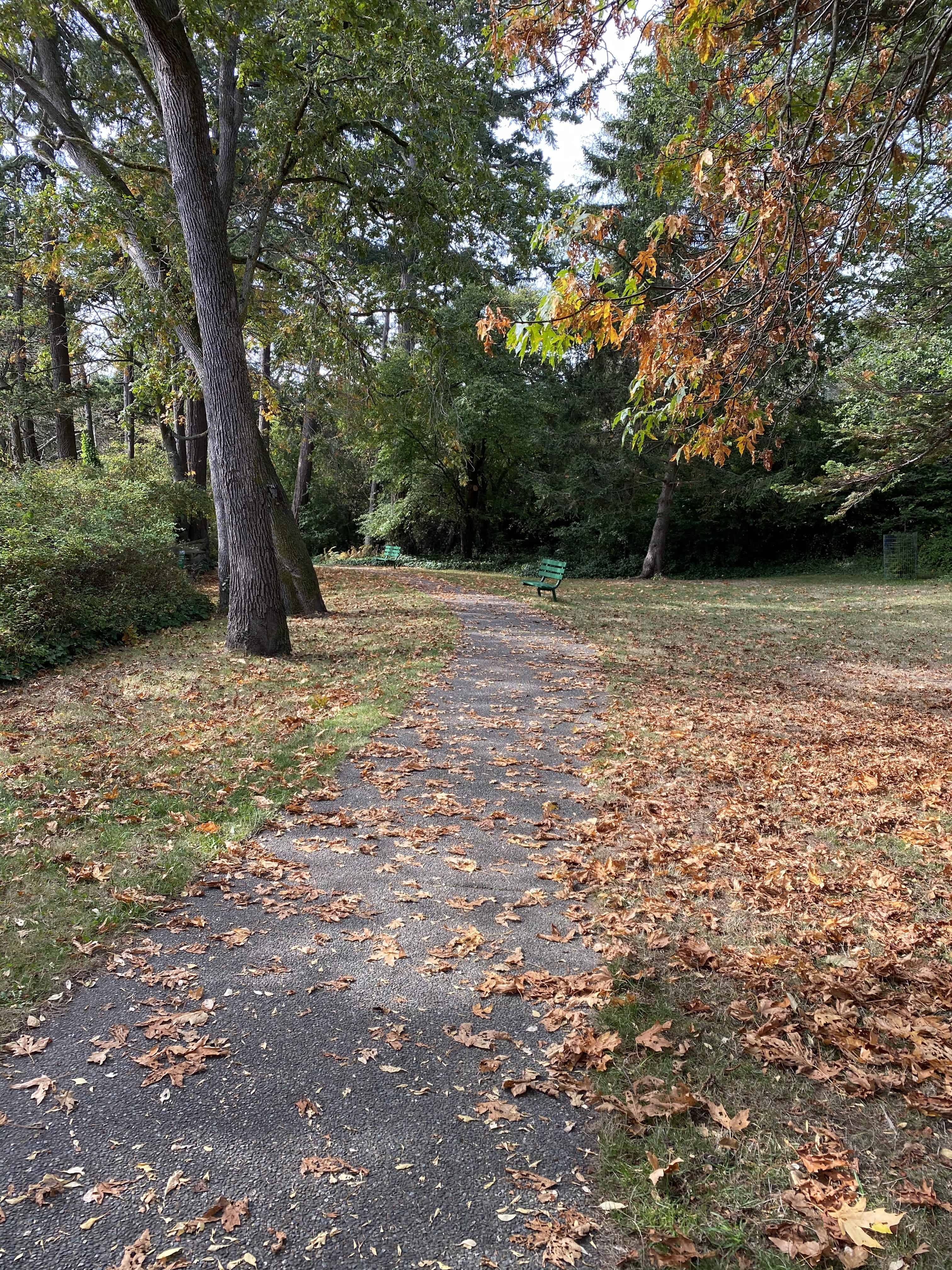 Autumn in Victoria