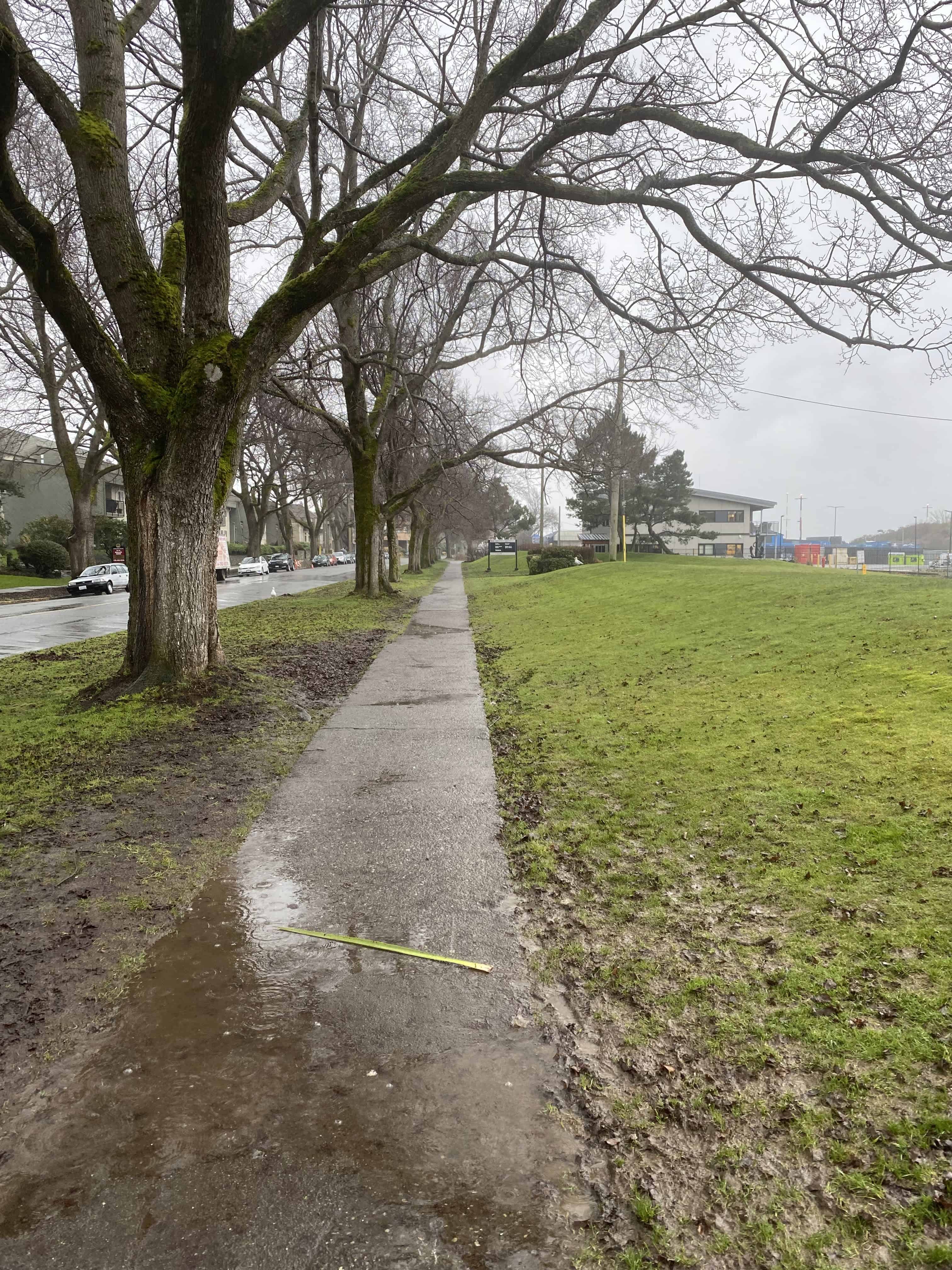 Pathway on Dallas Road
