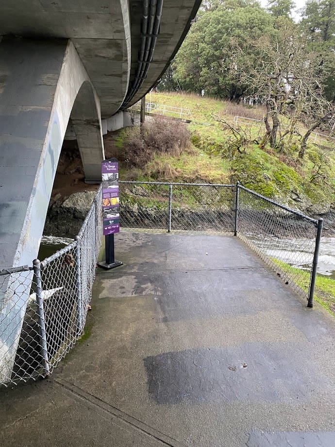 Path under the bridge to enter on foot into Esquimalt Gorge Park