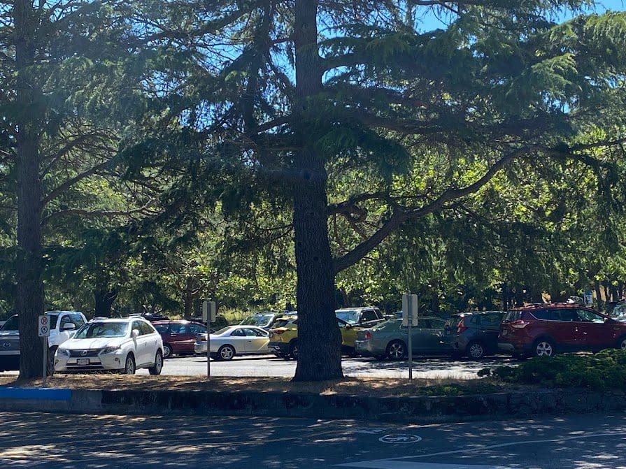 Parking lot off circle Drive in Victoria