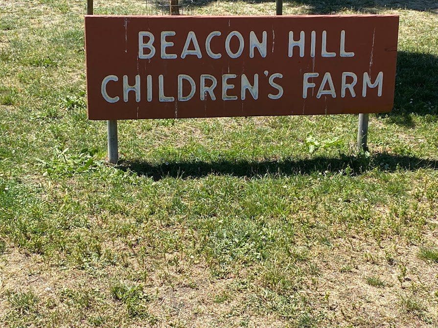 Beacon Hill Children's Farm sign at entrance.