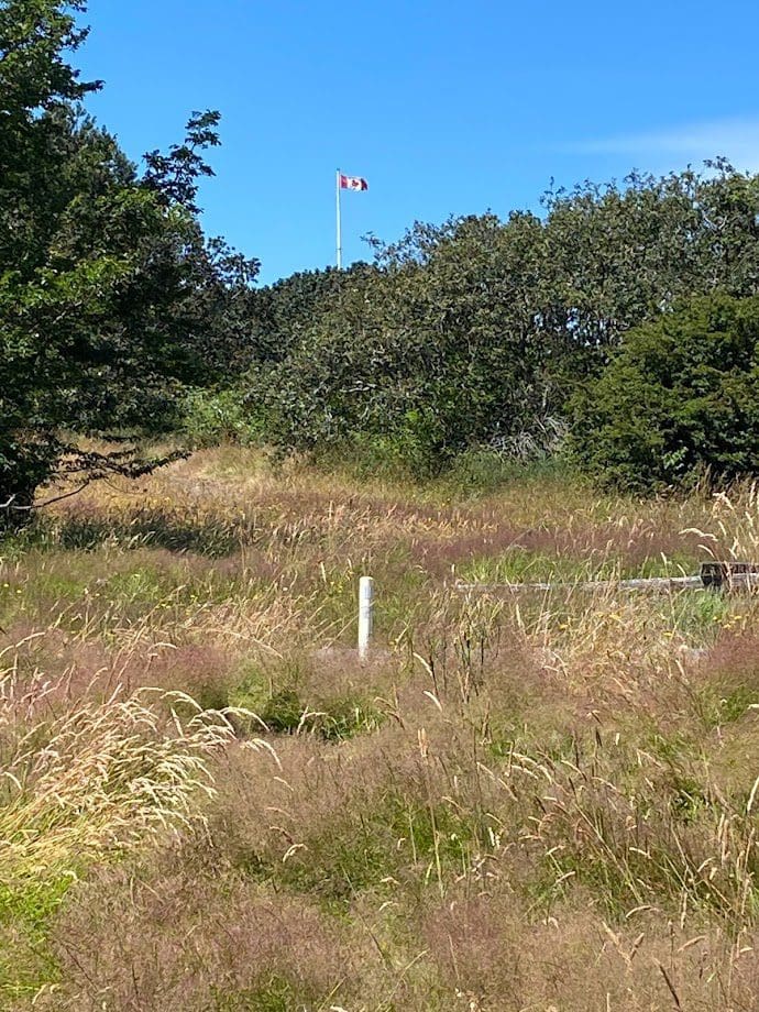 View of Canadian Flag atop Beacon Hill from the Story Pole