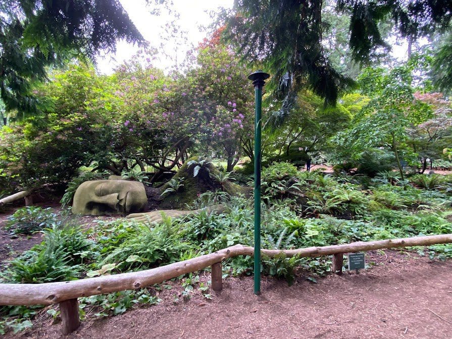 View of Moss Lady from a distance in Beacon Hill Park