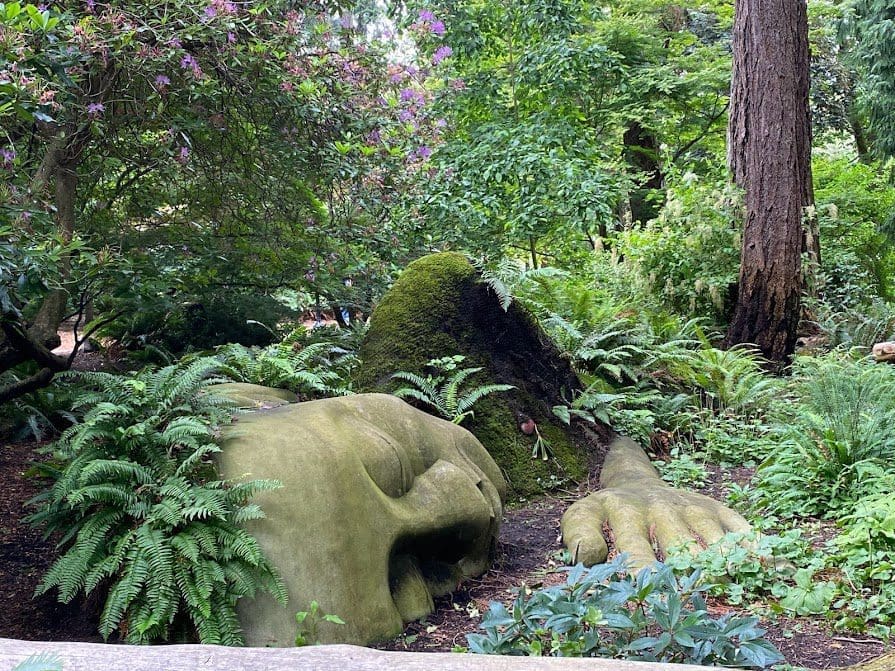 View of Moss Lady in Beacon Hill Park from head down