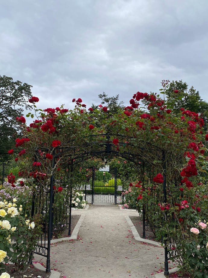 The Rose Garden beautifully designed with vines over top the decorative arches as you walk through