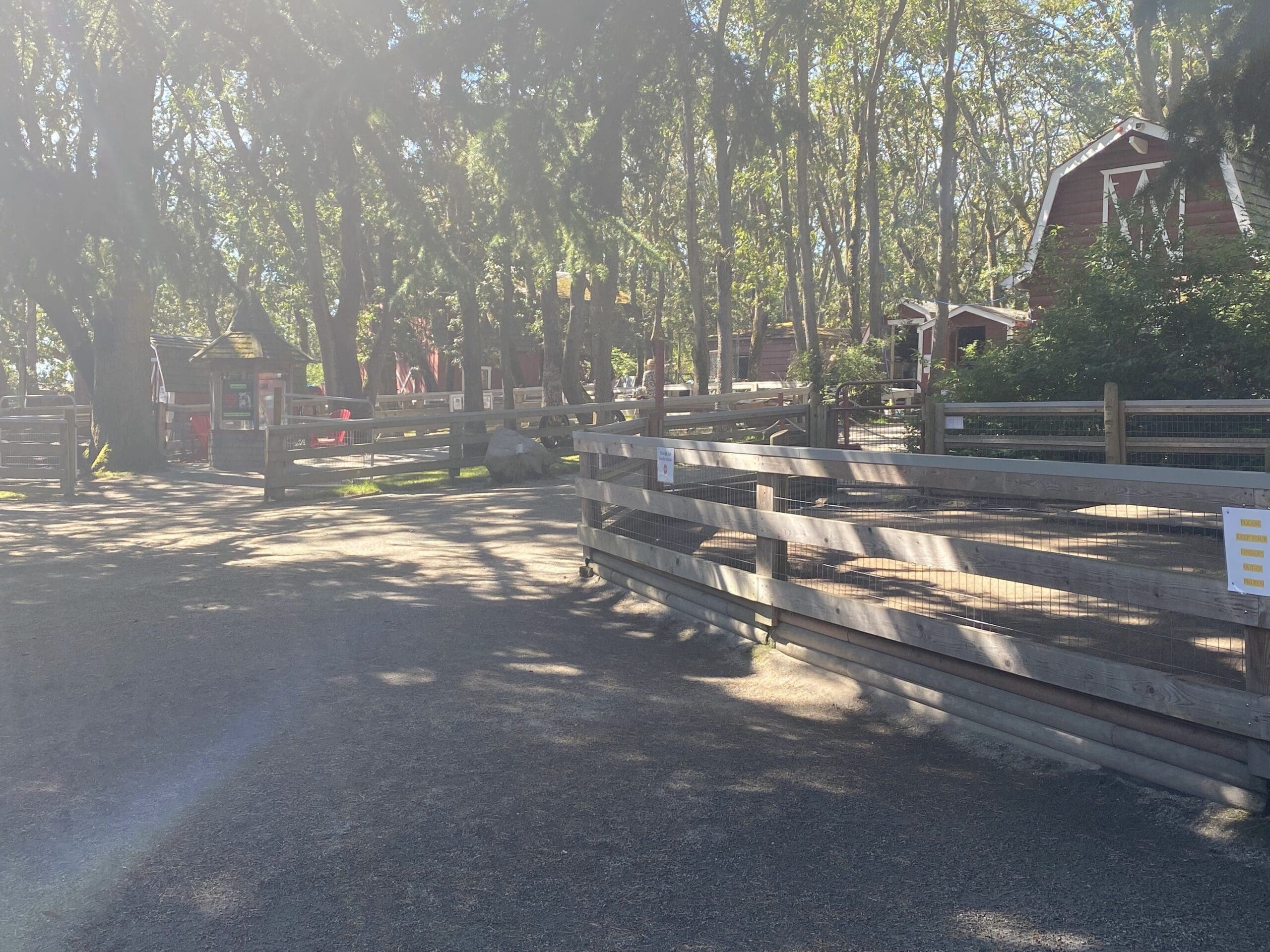 Picture of the Beacon Hill Childrens Farm on a bright sunny morning.