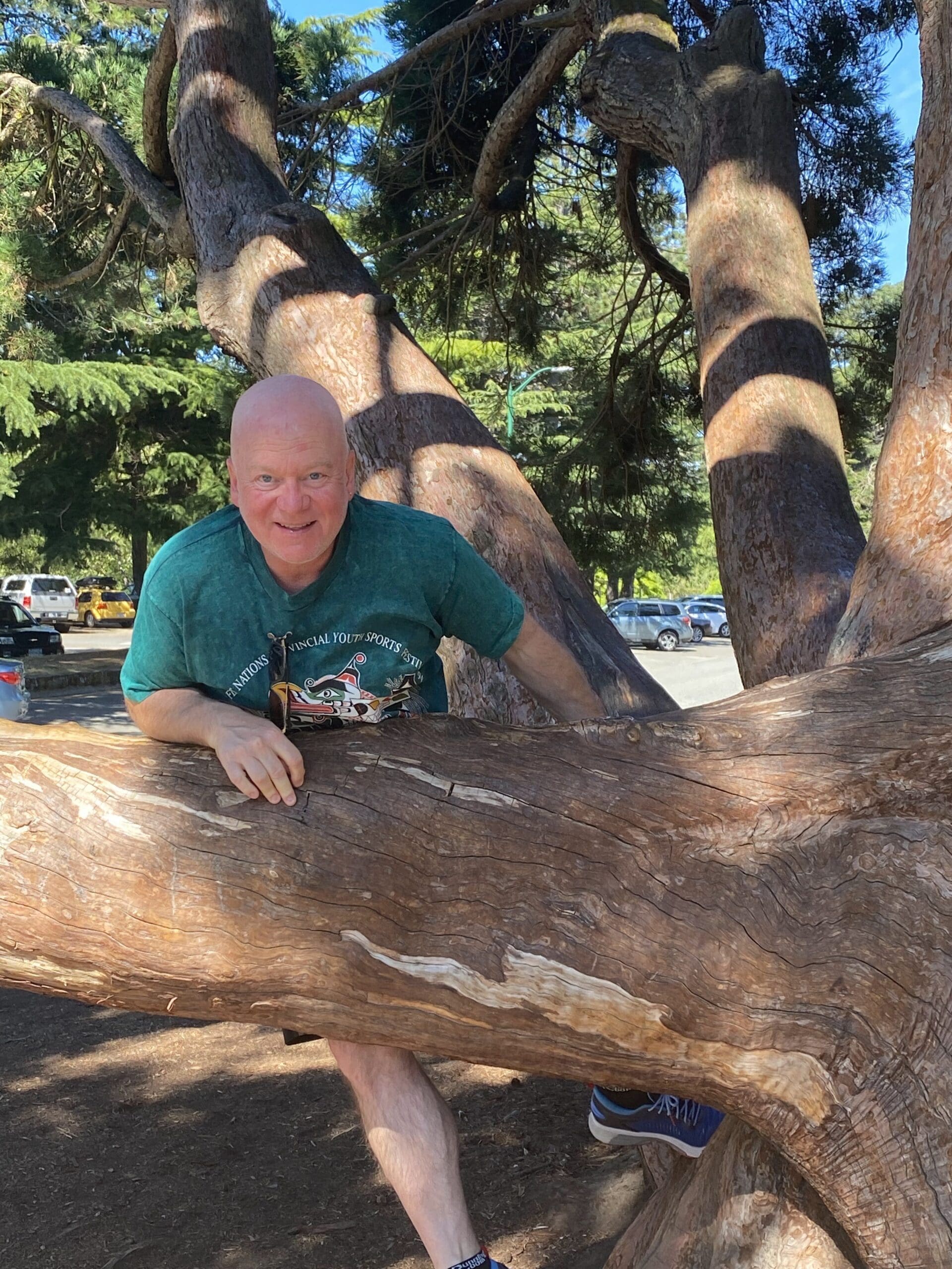 Paul climbing the Sequoia Tree