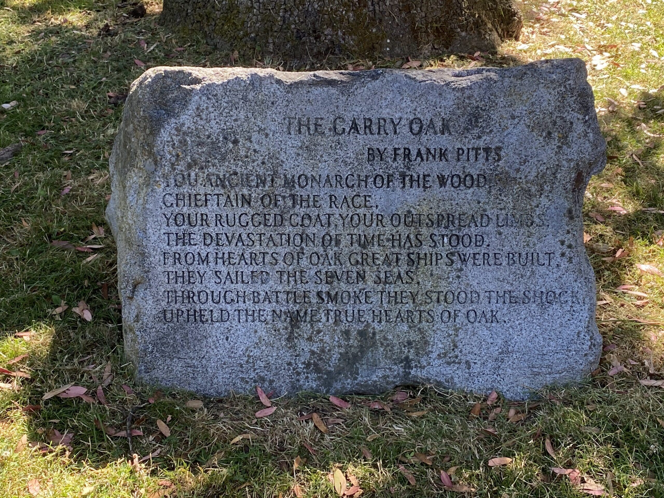 Poem carved into stone by Frank Pitts of the Garry Oak "You Ancient Monarch of the Wood, Chieftain of the Race, Your Rugged Coat, Your outspread Limbs, The devastation of time has stood, from Hearts of Oak great ships were built, they sailed the seven seas. Through battle smoke they stood the shock upheld the name true hearts of Oak.