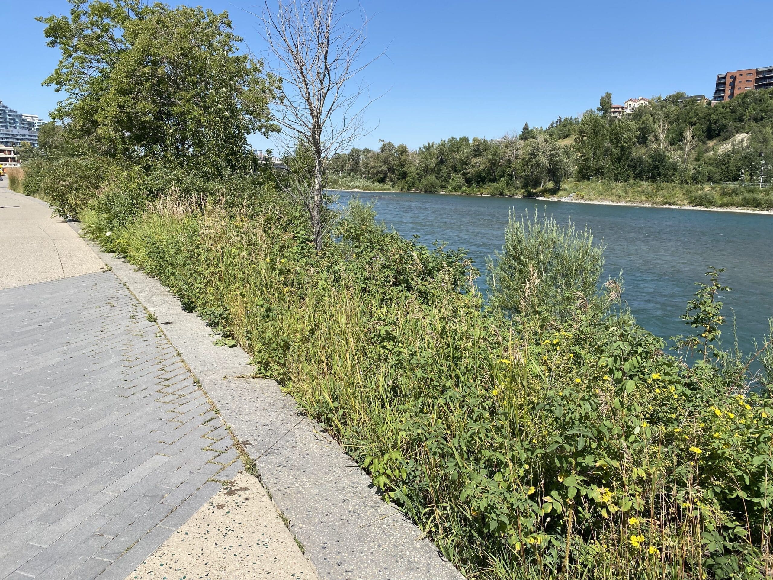 Walking along River Walk water on our right.