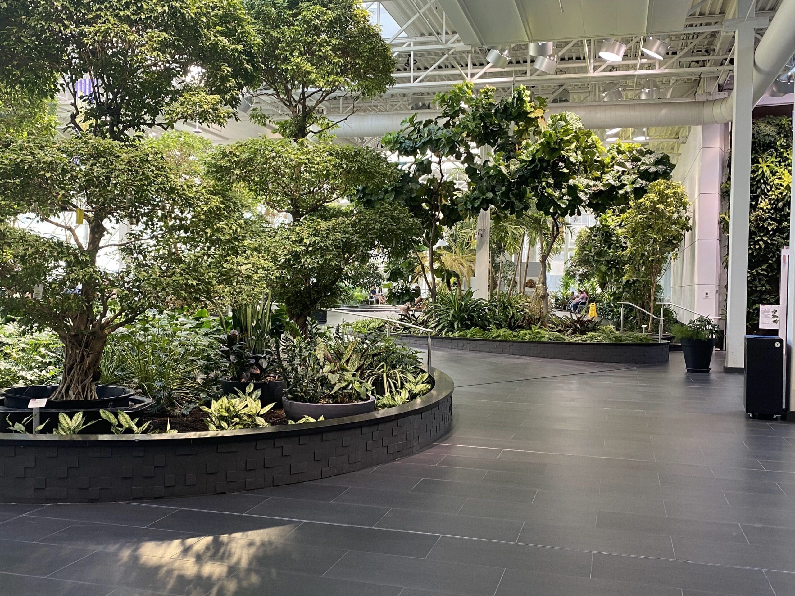 Many smaller walkways to meander through the Devonian Gardens.