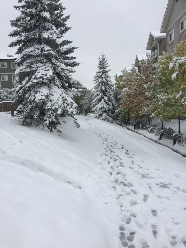 This is the day after a huge snowfall in September 2019.  