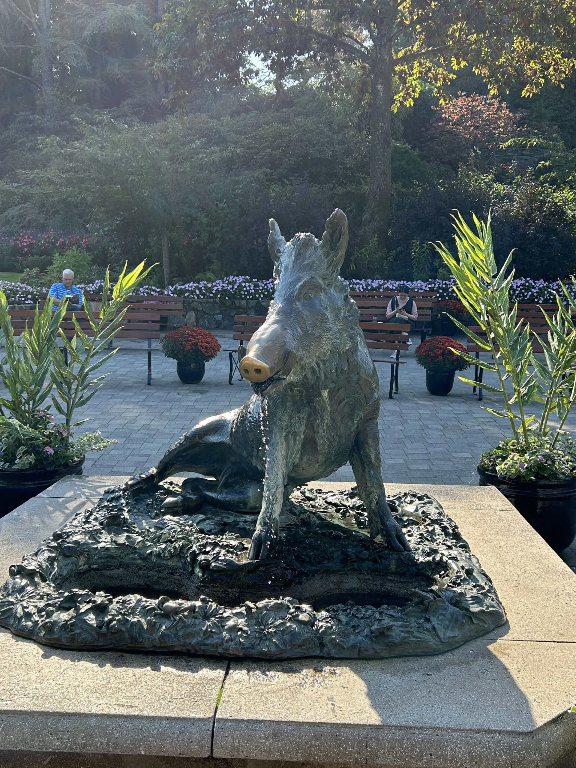 The Butchart Boar at Butchart Gardens has a polished nose from passers-by rubbing it for good luck! It's a fun and memorable activity while at the gardens.