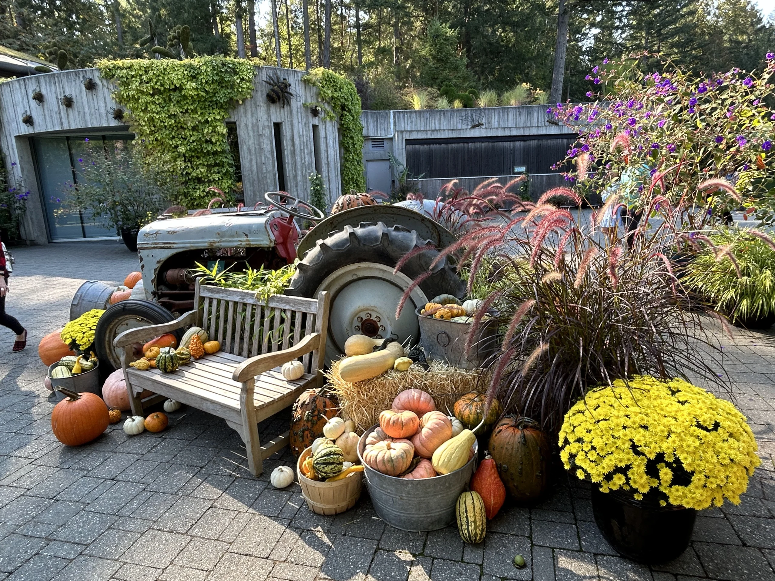 Pumpkin and tractor display representing autumn at the Butchart Gardens
