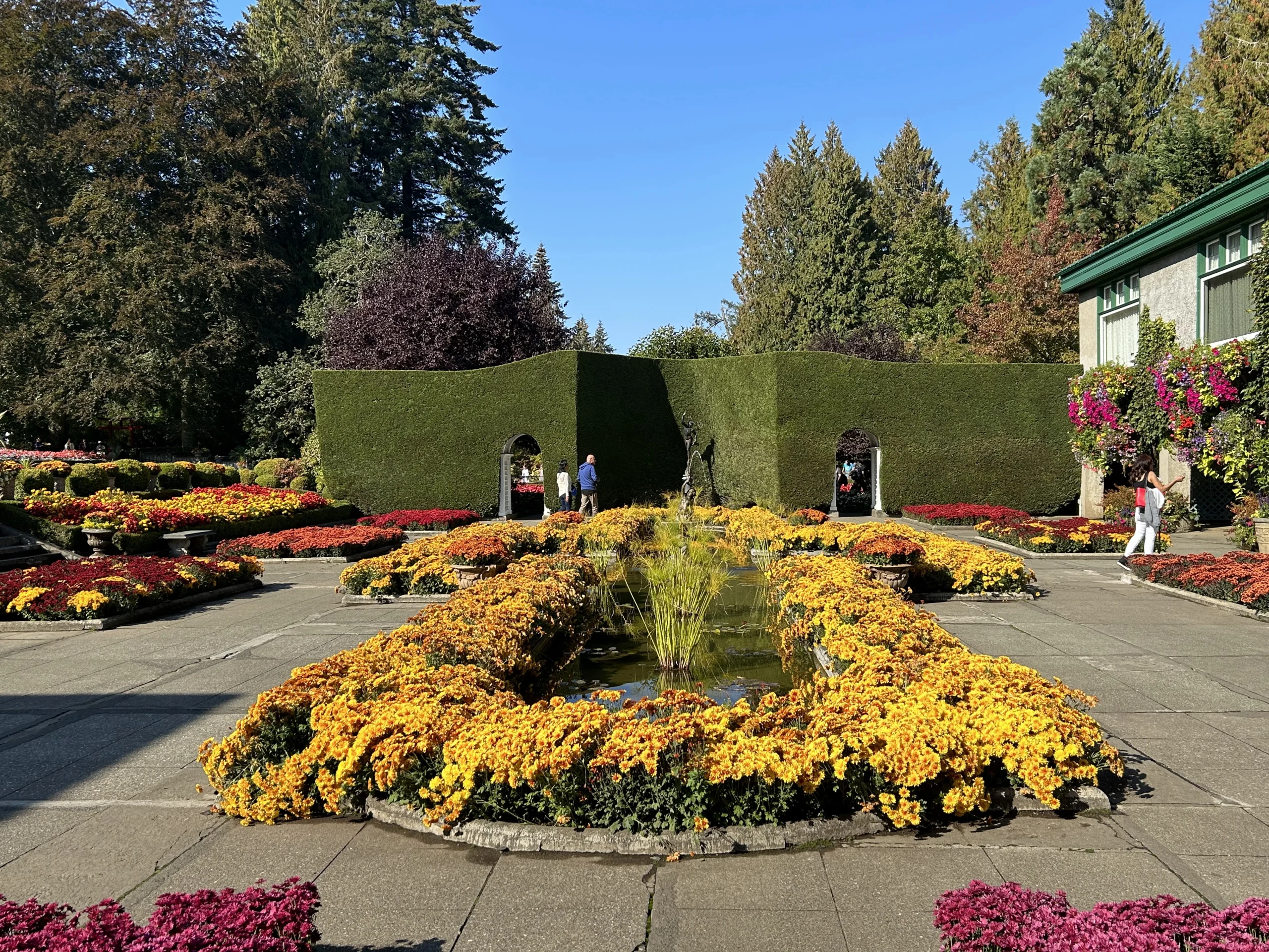 Beatuful flowers still blooming in the October 2022 at the Butchart Gardens.