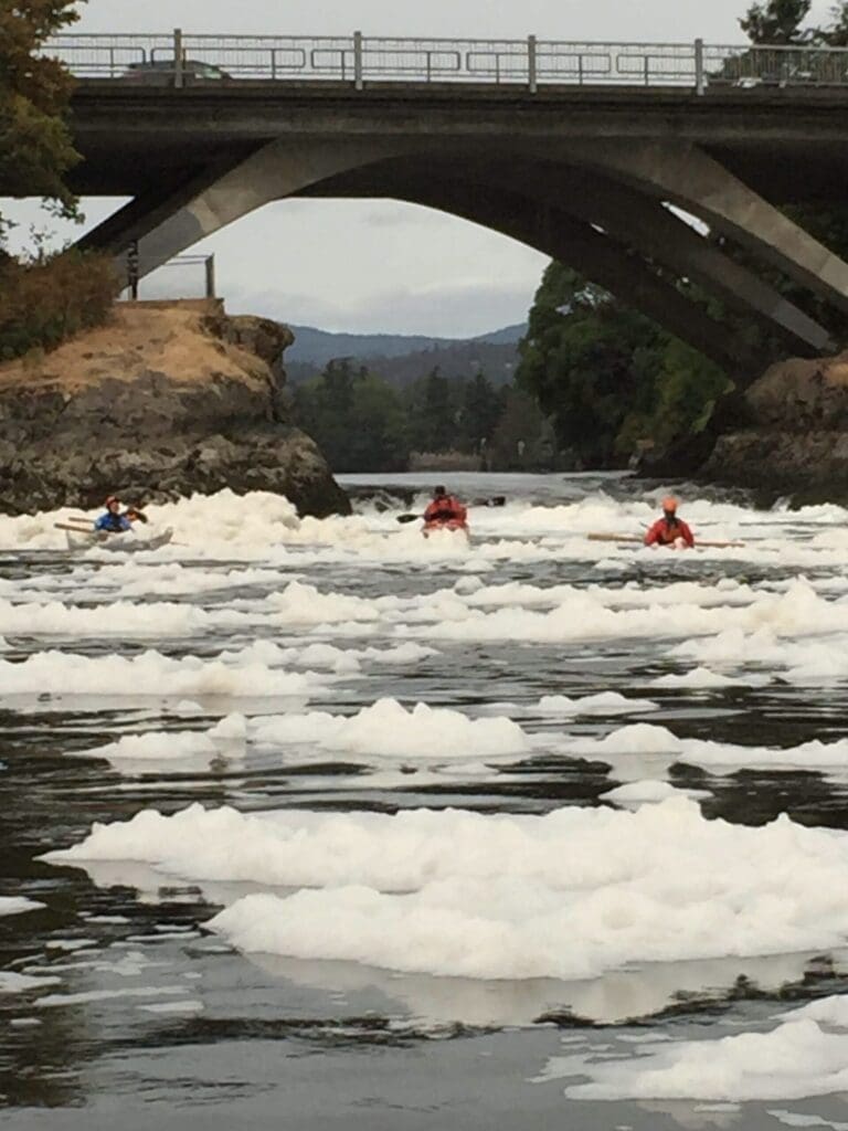 Reversing Rapids at Tillicum Narrows nearby Victoria BC
