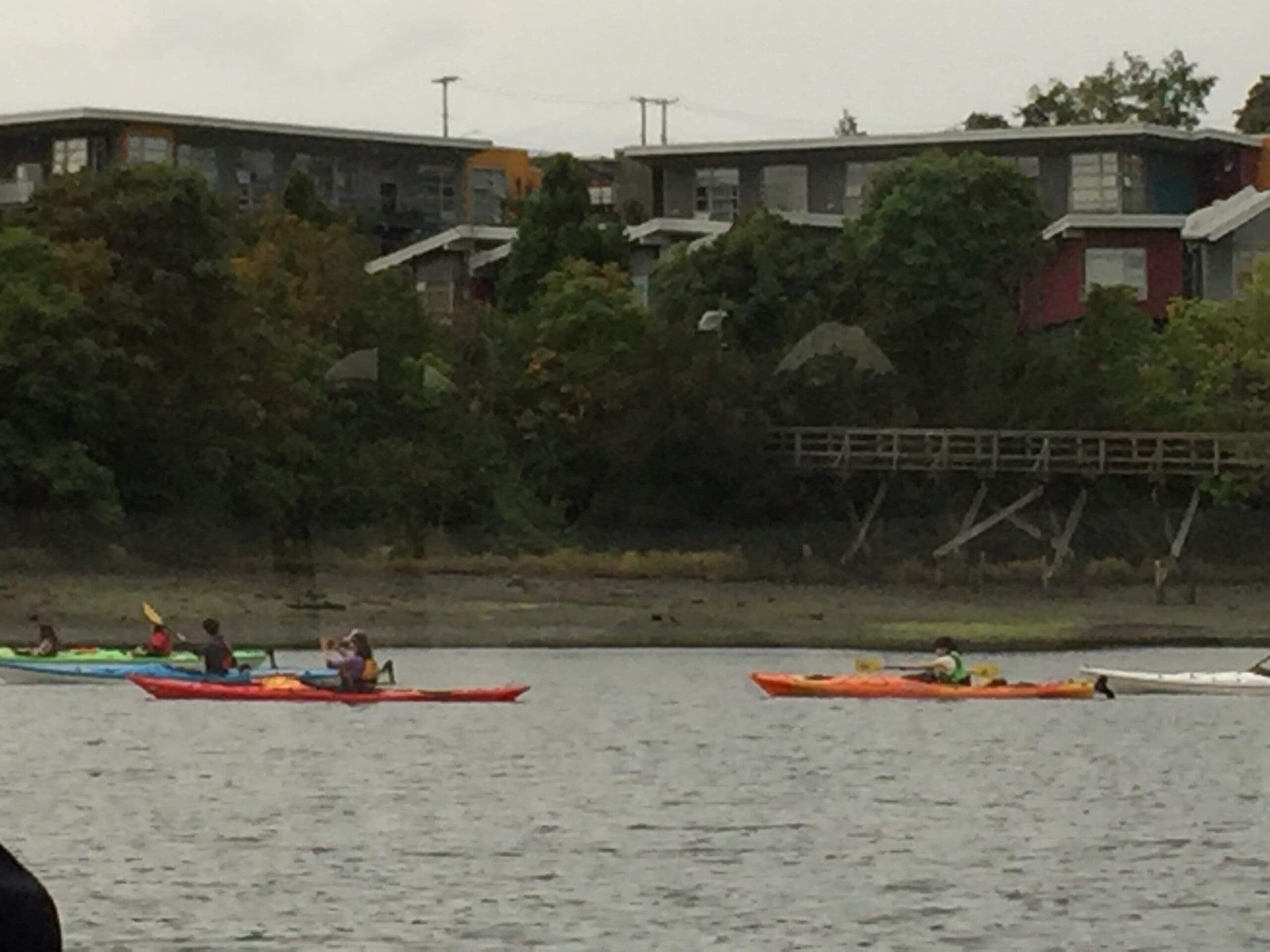 Kayaking is a fun and popular water activity in Victoria, both in the harbour and in the Gorge Waterway.