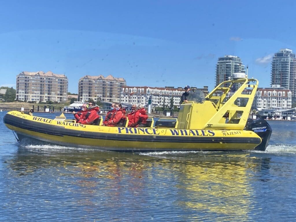 Whale watching is one of the most popular water activities in Victoria BC.