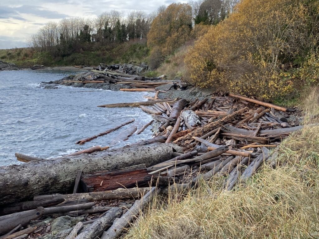 Autumn in Victoria BC Canada