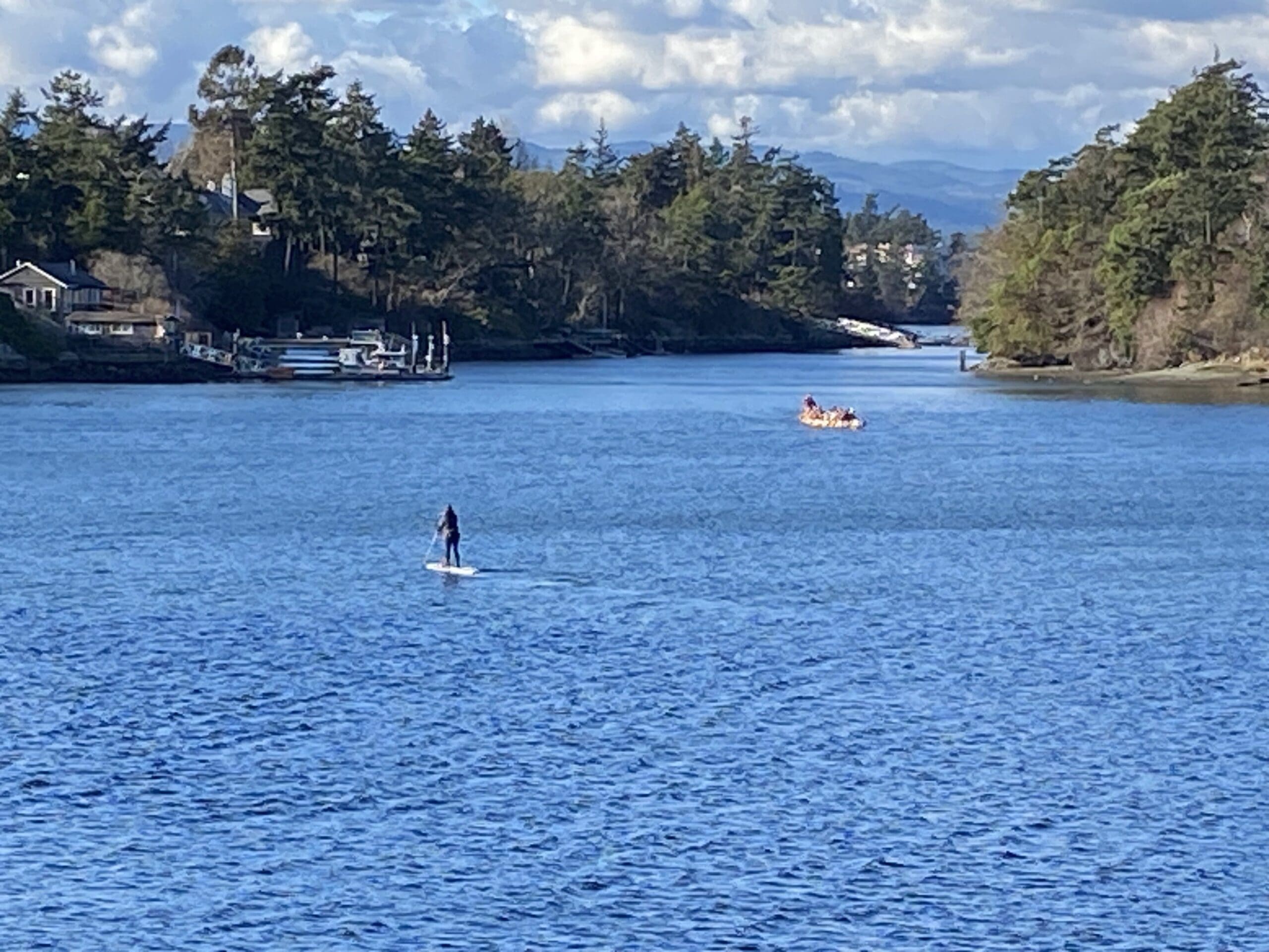 Stand up Paddle Boarding is a fun water activity while in Victoria BC.